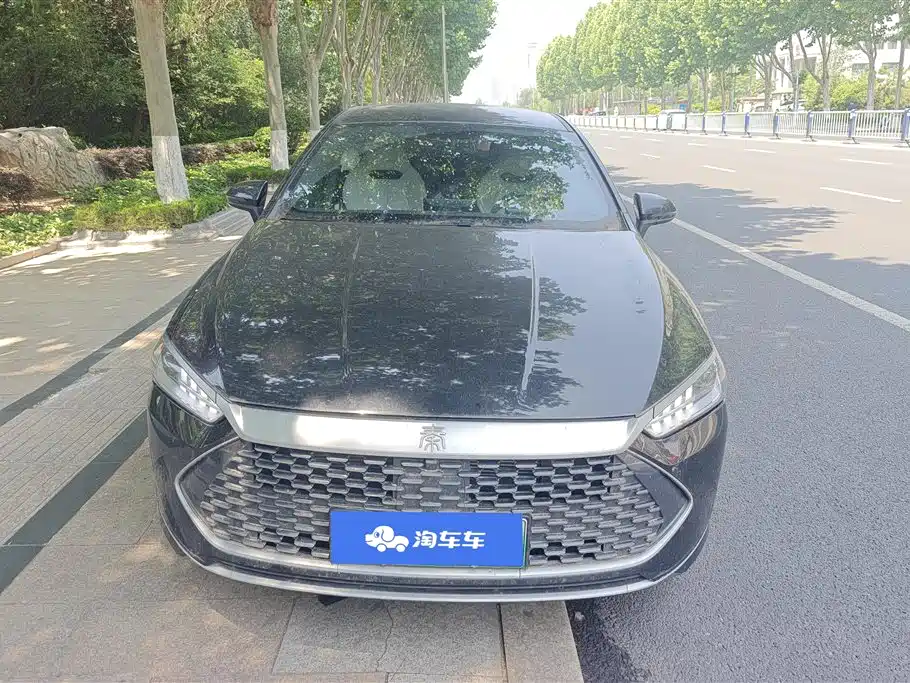 BYD Qin PLUS 2023 Champion Edition DM-i 55KM Leading фото 2
