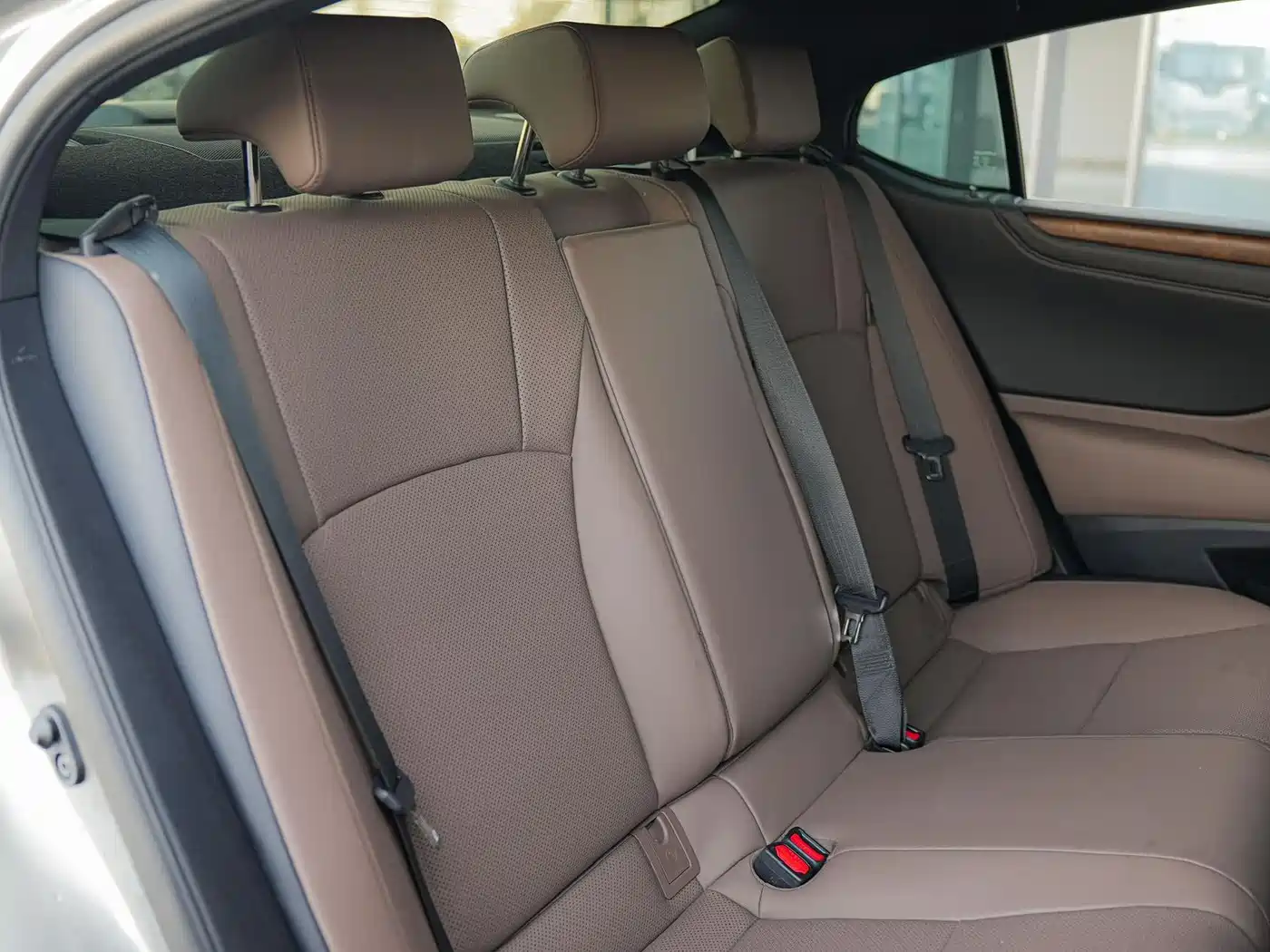 Lexus ES 2024 200 Premium Edition фото 15