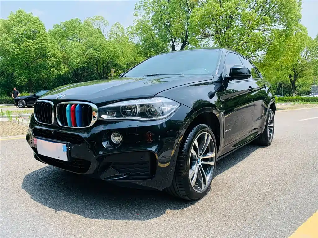 BMW X6 2018 xDrive35i M Sport Luxury Model фото 2