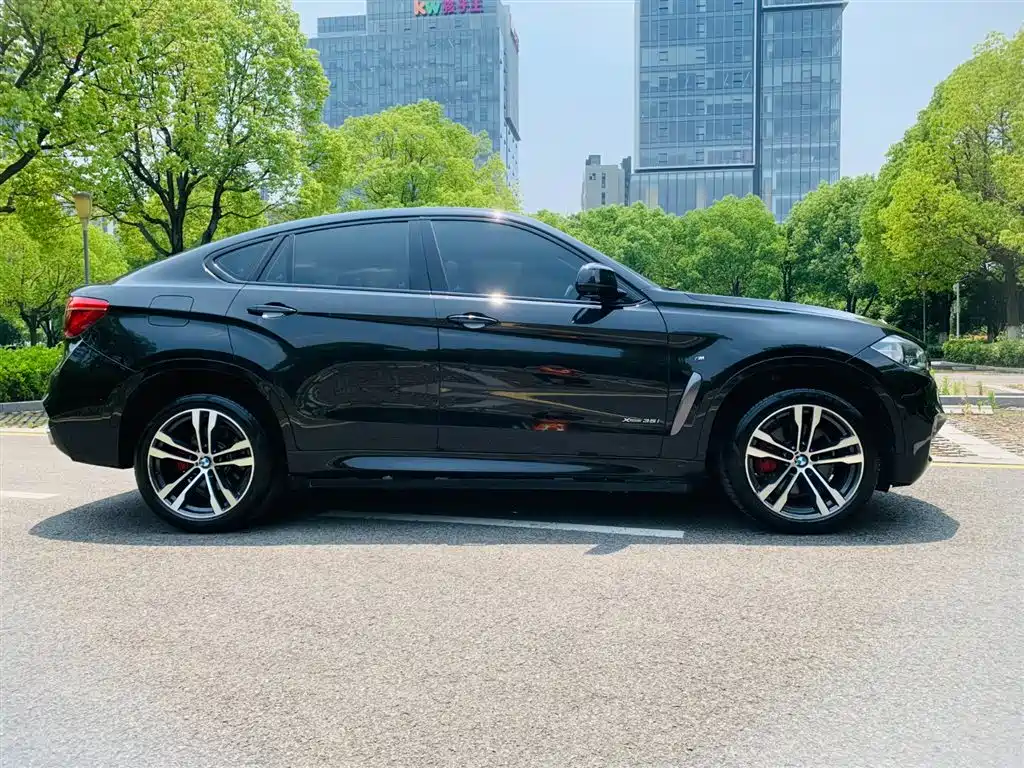 BMW X6 2018 xDrive35i M Sport Luxury Model фото 5