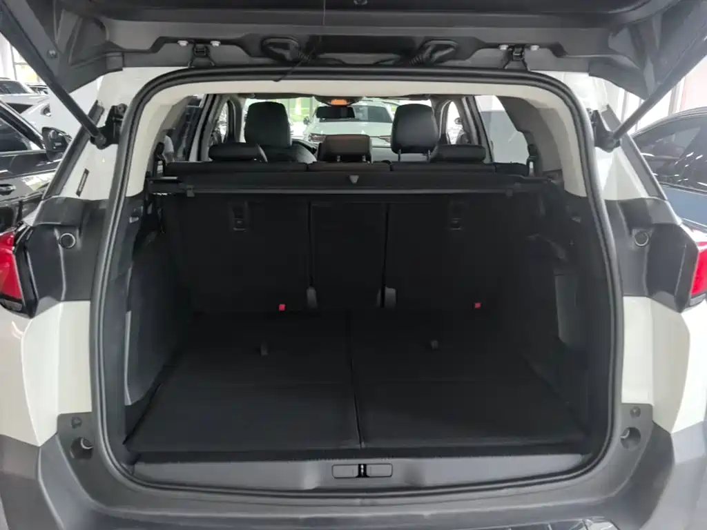 Фото 15 - Peugeot 5008