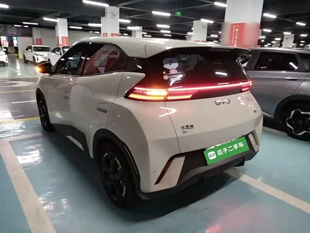 BYD Seagull 2024 Glory Edition 305km Vitality Edition фото 5