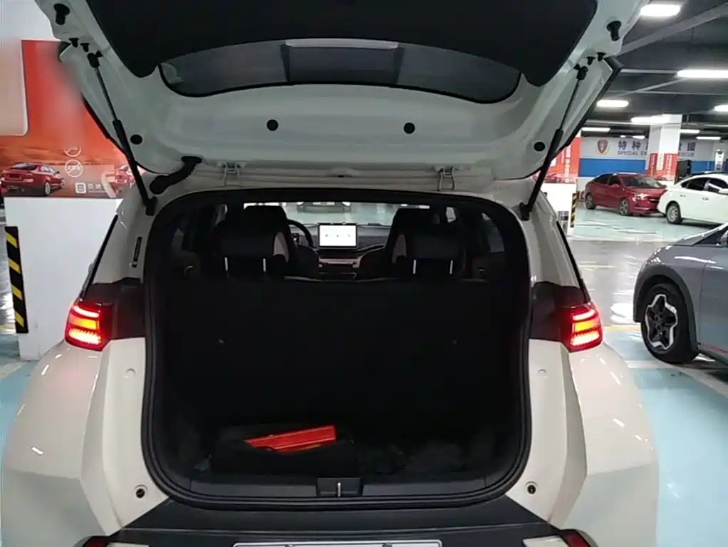 BYD Seagull 2024 Glory Edition 305km Vitality Edition фото 19