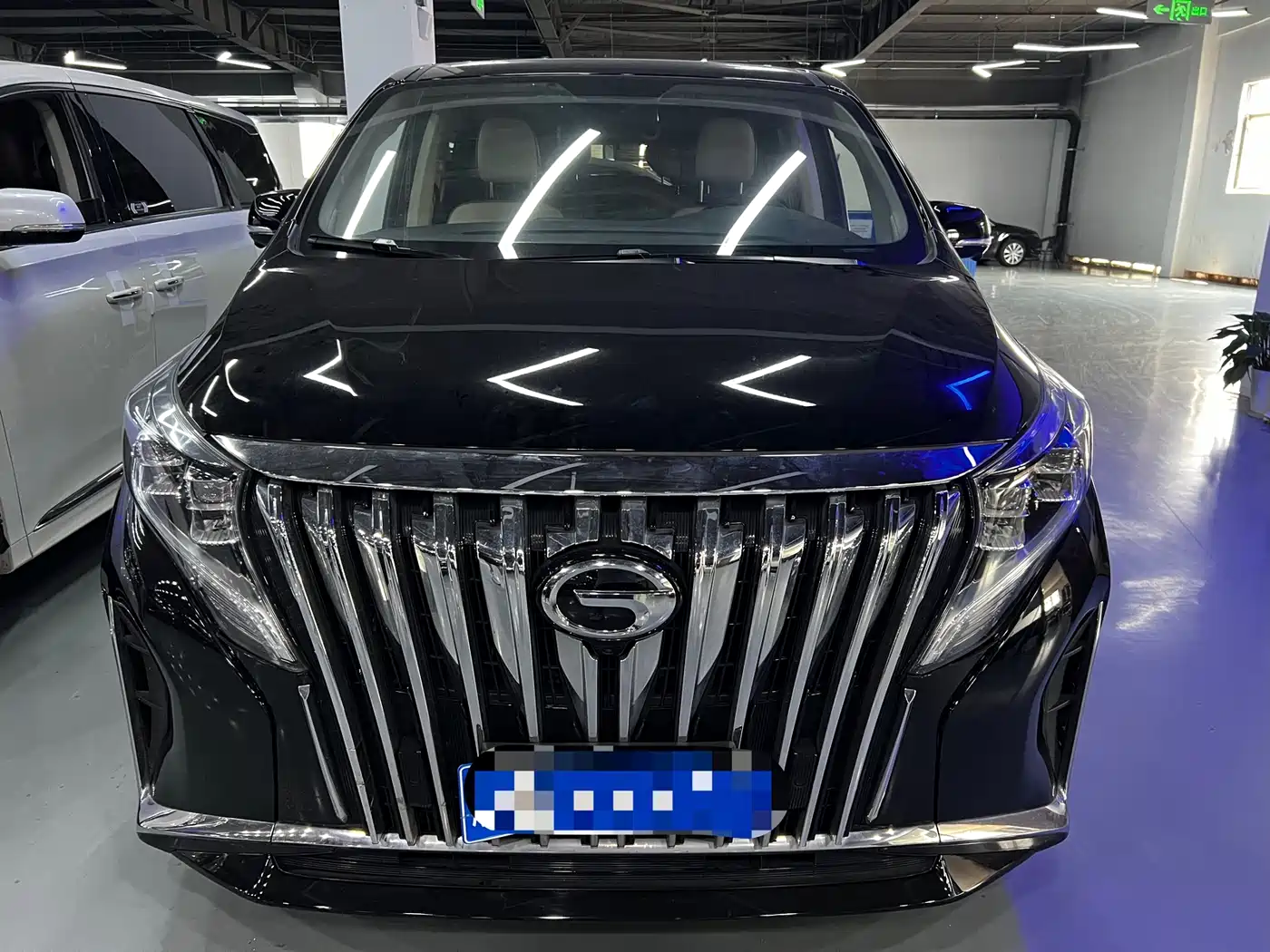 GAC Trumpchi Trumpchi M8 2021 Master Series 390T Prestige Edition фото 2