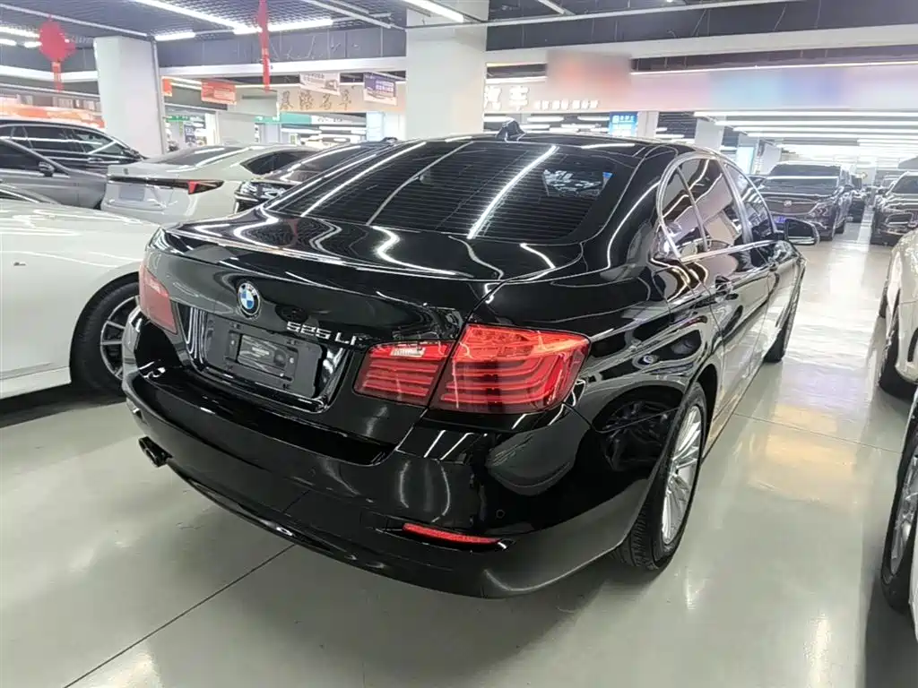 BMW 5 Series 2014 525Li Leading фото 7