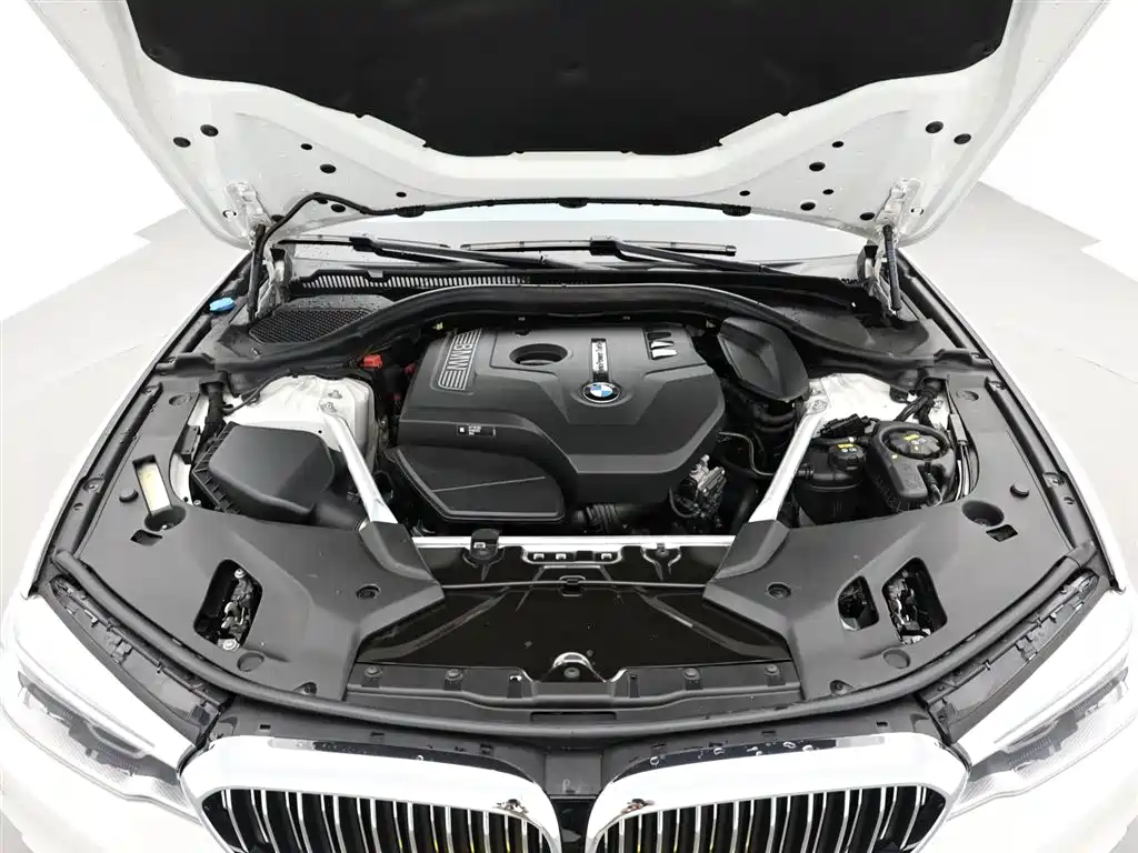 BMW 5 Series 2019 530Li Premium Luxury Package фото 17