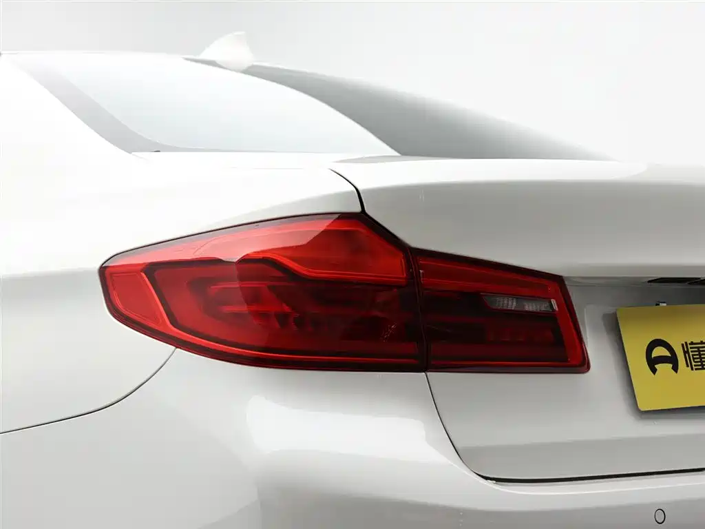 BMW 5 Series 2019 530Li Premium Luxury Package фото 7