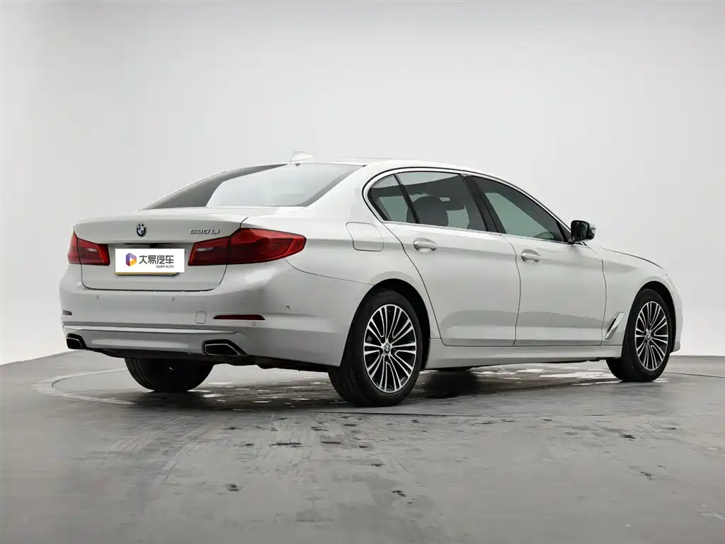 BMW 5 Series 2019 530Li Premium Luxury Package фото 3
