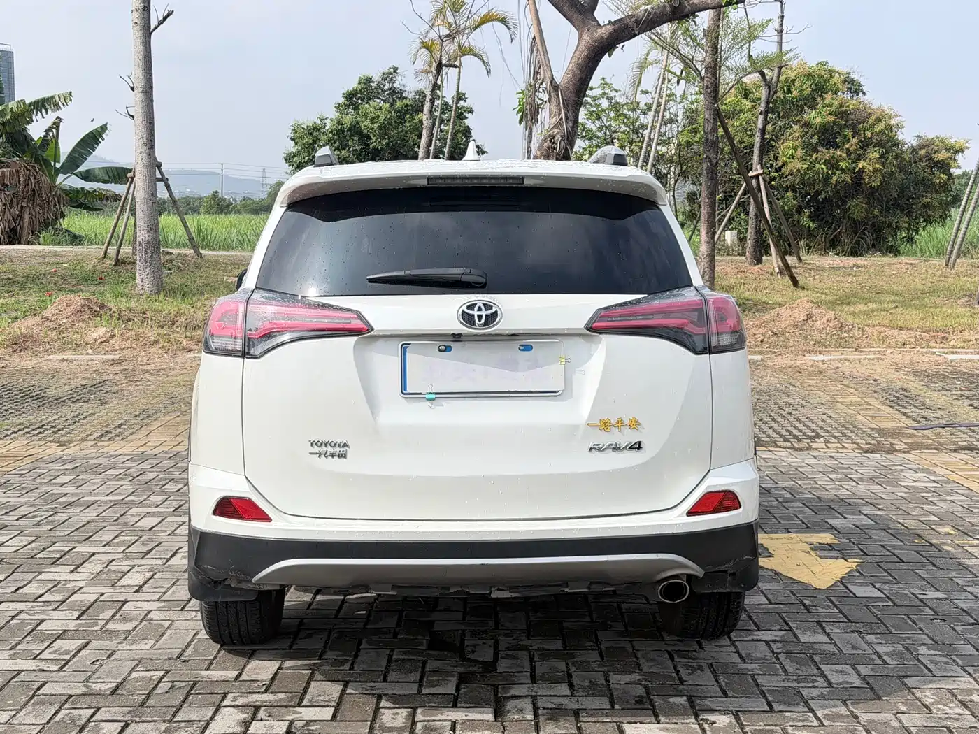 Toyota RAV4 Rongfang 2019 2.0L CVT 2WD Style X Limited Edition China VI фото 4