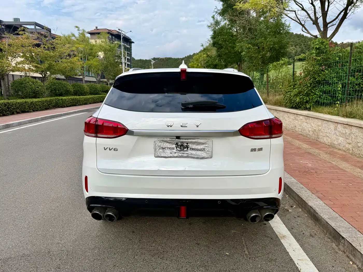 WEY VV6 2019 2018 2.0T 2WD Flagship China V