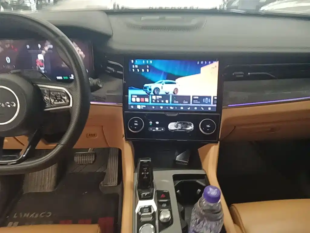 Lynk & Co 09 EM-P 2023 2.0TD EM-P Voyage PM 7-Seater фото 9
