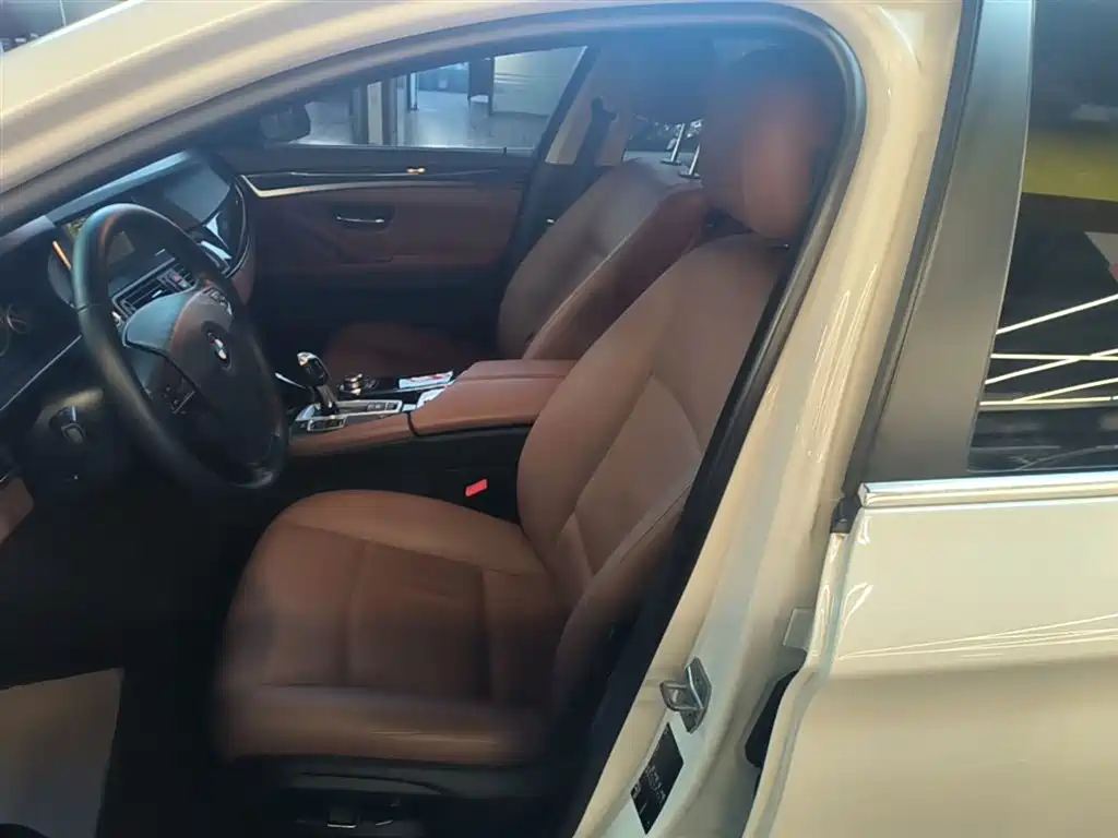 BMW 5 Series (Import) 2015 520i Elegance фото 15