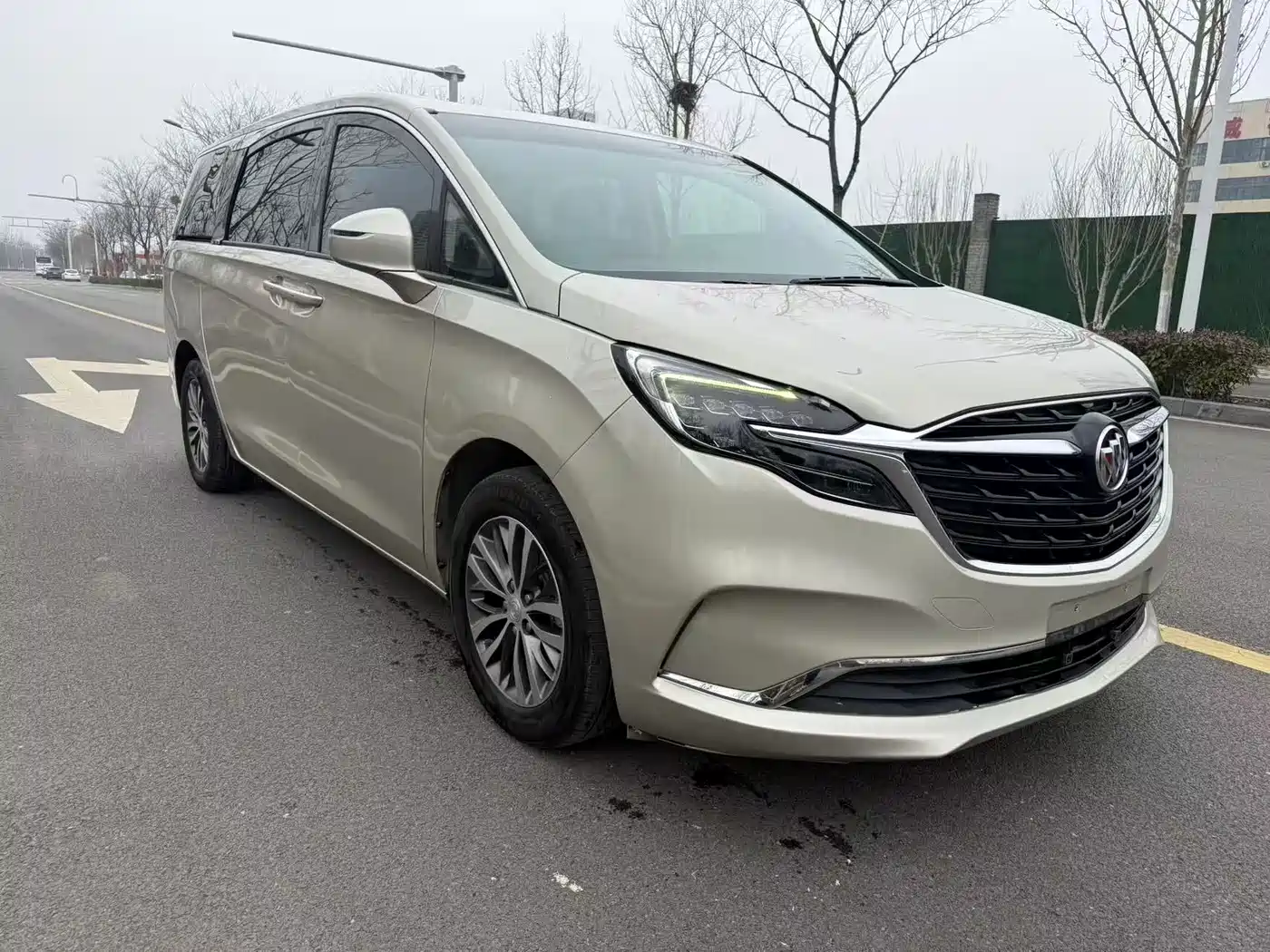 Buick GL8 2022 ES Landmark 653T Comfort фото 3