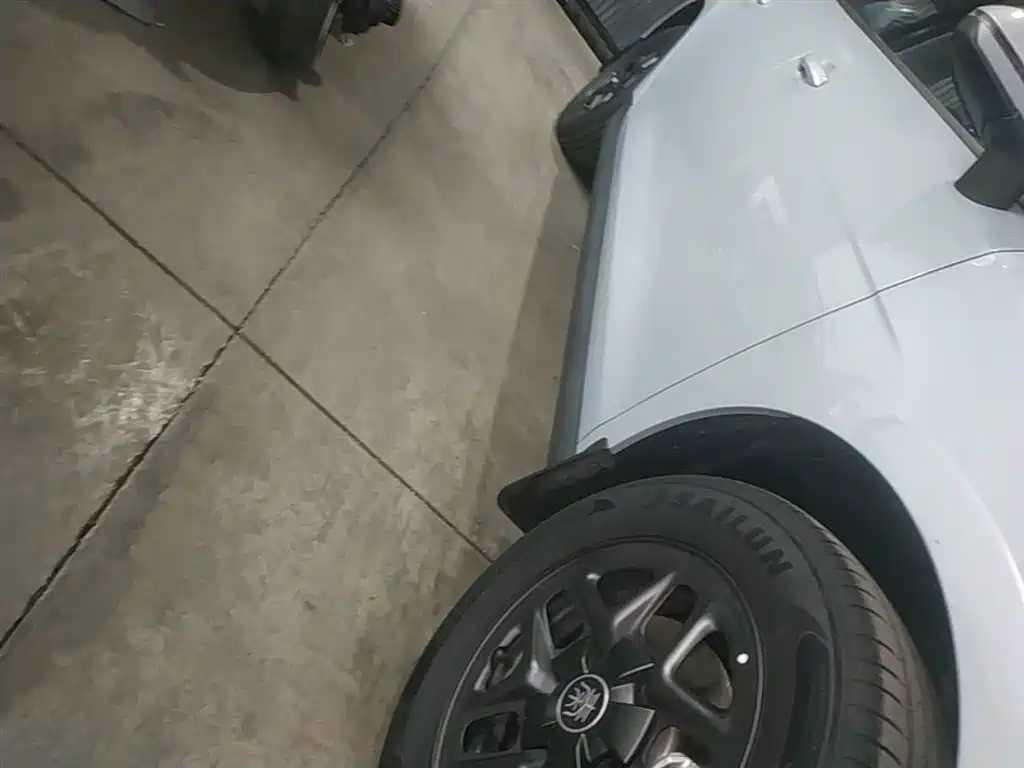 BYD Qin PLUS 2025 DM-i Smart Drive 55KM Leader фото 21