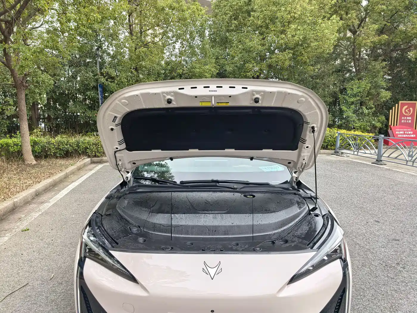 ARCFOX EXTREME FOX POLAR FOX ALPHA S5