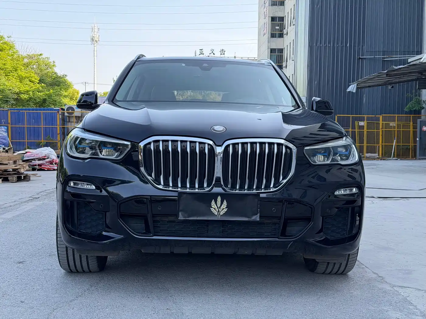 BMW X5 (Import) 2019 xDrive40i M Sport Package фото 2