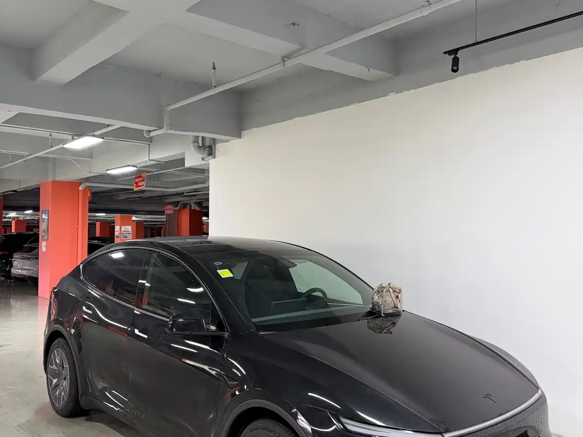 Фото 2 - Tesla Model Y L
