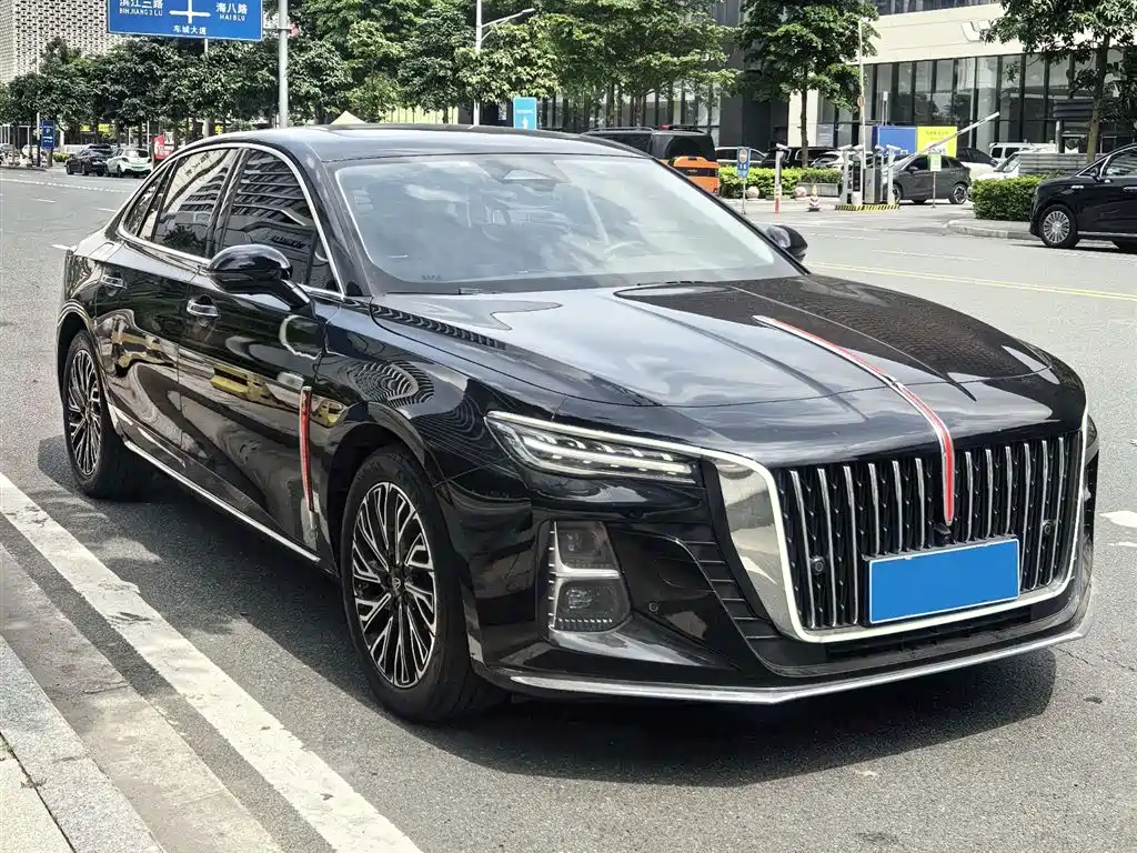 Hongqi H5 2024 2.0T Automatic Smart Connect Flag Smooth Edition фото 3