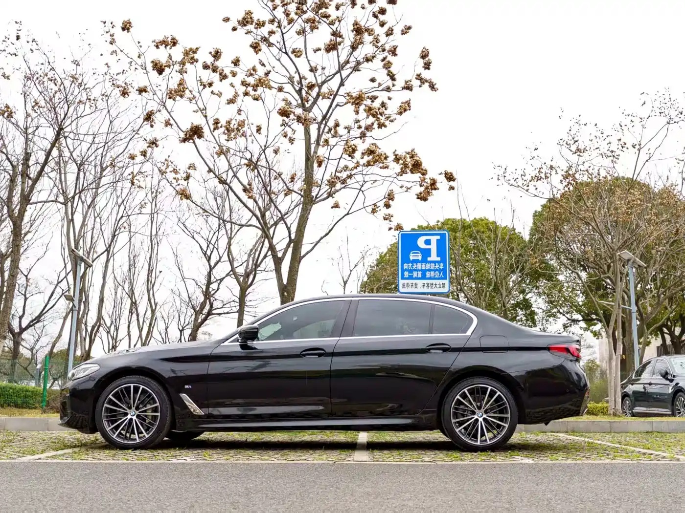 BMW 5 Series 2021 530Li Leading M Sport Package фото 7