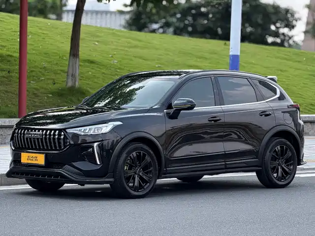 Haval Haval Chitu 2021 Boost Edition 1.5T Platinum Rabbit