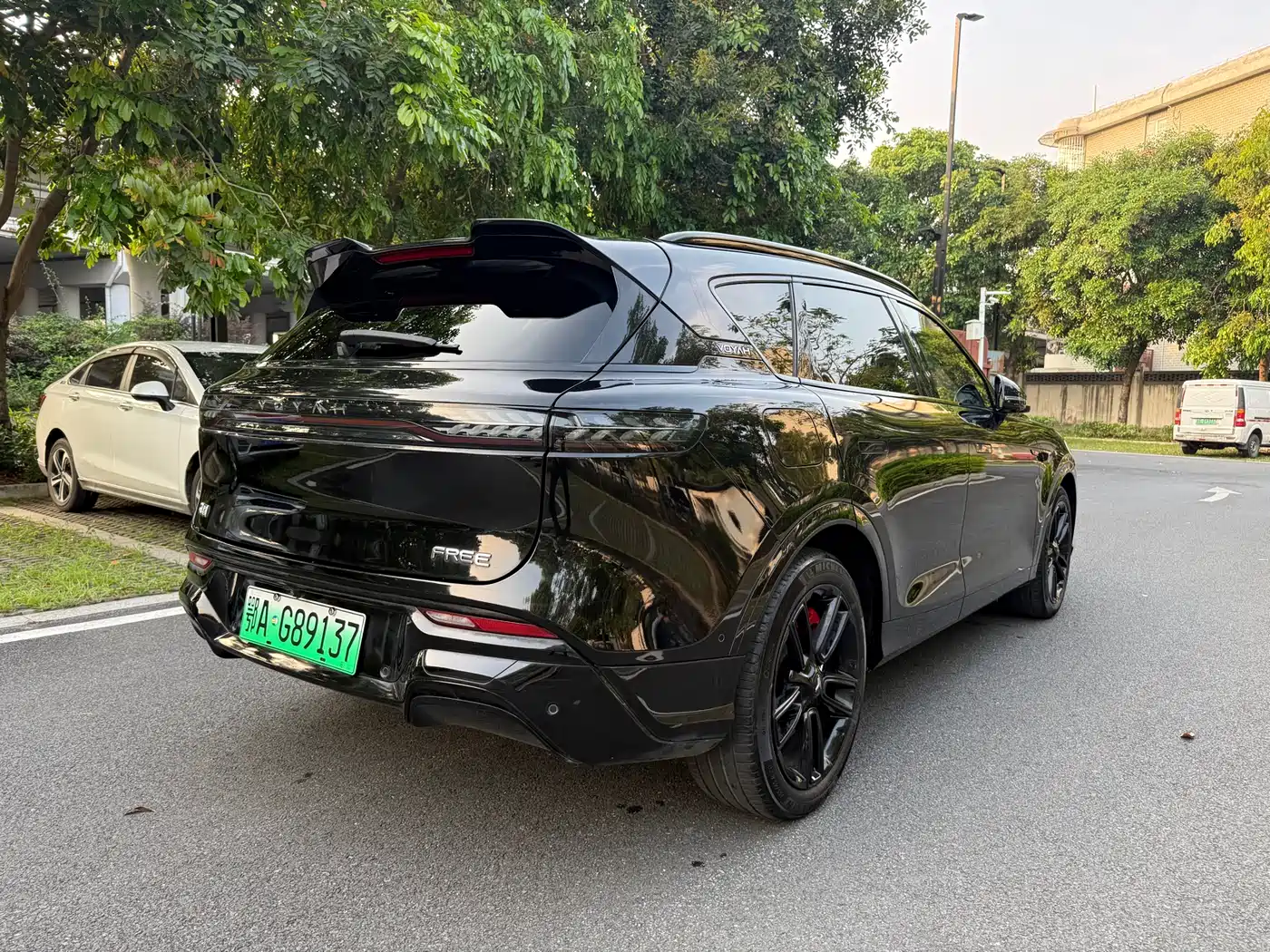 Voyah Auto VOYAH FREE 2025 318 318km RWD Touring Edition фото 5