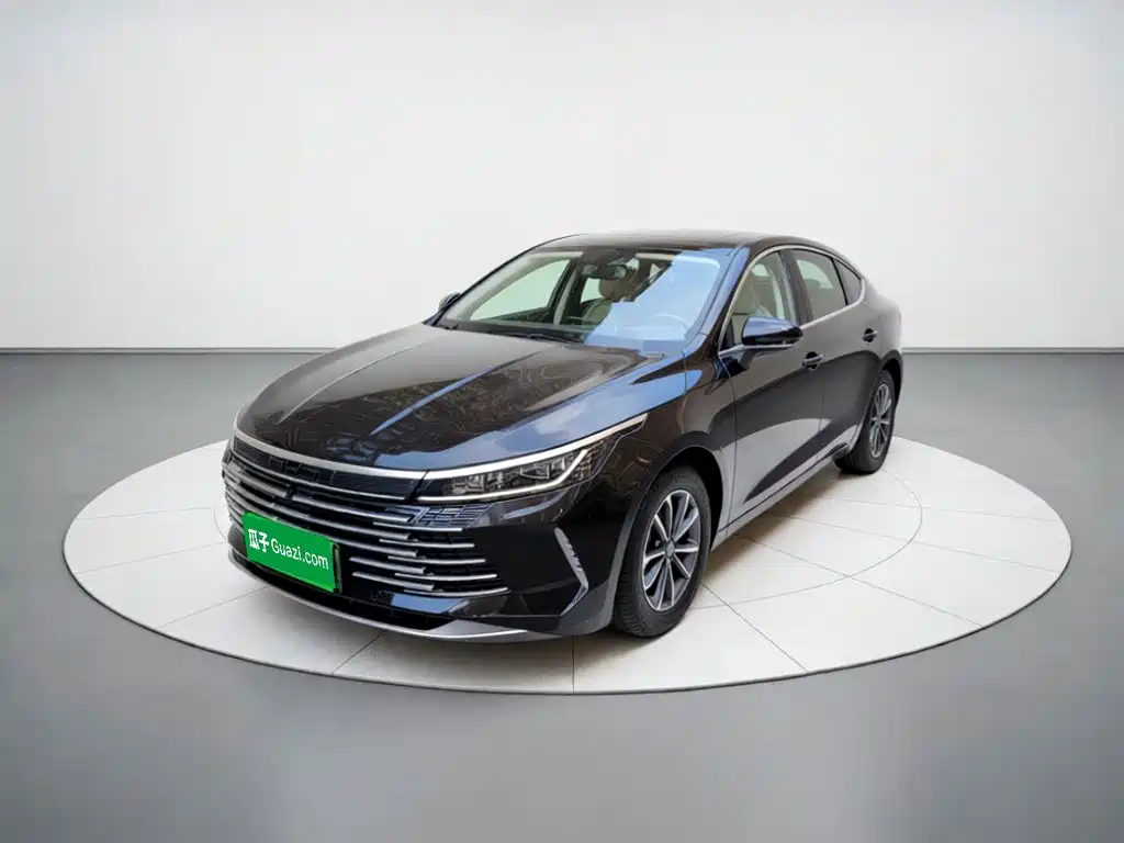 BYD Destroyer 05 2024 2024 Glory Edition DM-i 55KM Luxury