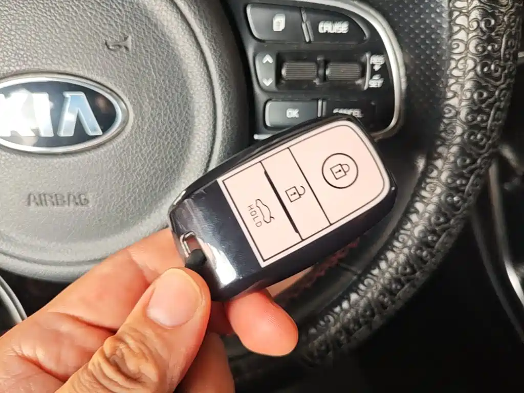 Kia KX5 2019 2019 1.6T Automatic 2WD Luxury Edition