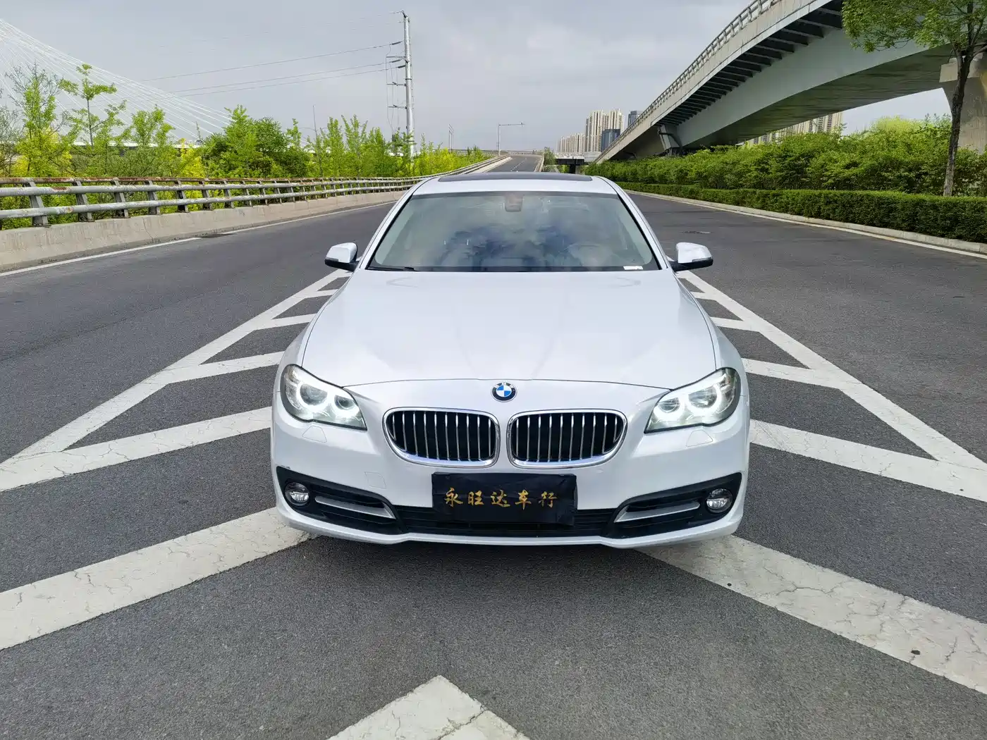 BMW 5 Series 2014 520Li Elegance фото 2