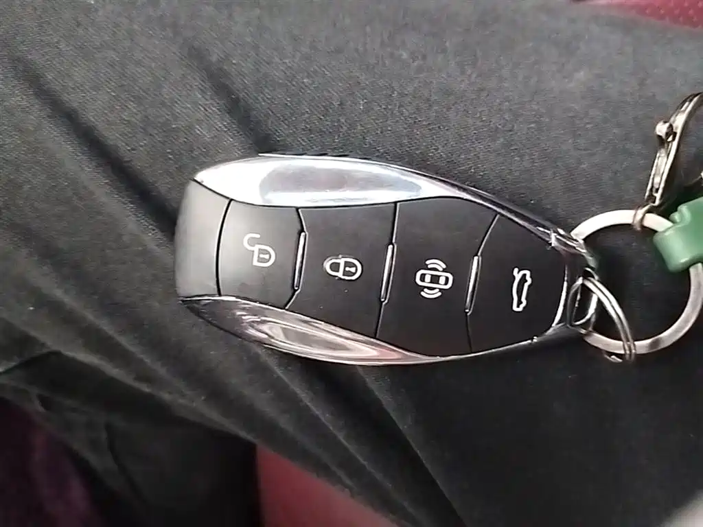 Hongqi H5 2023 2.0T Auto Smart Connect Flag Comfort фото 17