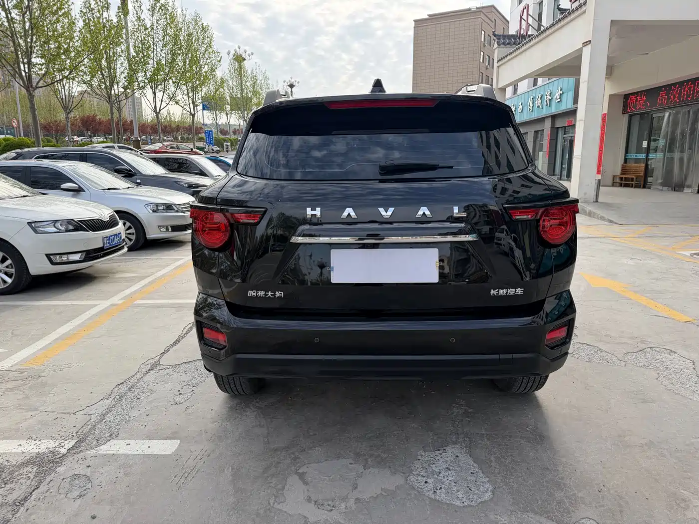 HAVAL SECOND GENERATION BIG DOG