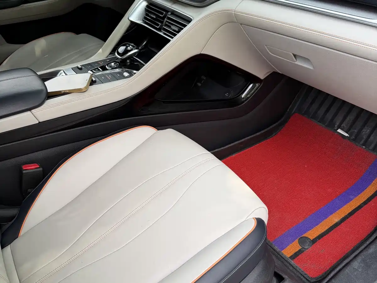 BYD Song PLUS PHEV 2021 EV Premium Model фото 14