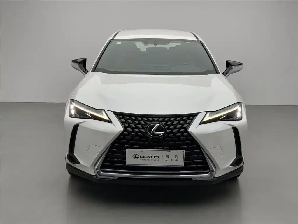 Lexus UX 2020 260h Explore Cool Edition China V фото 2