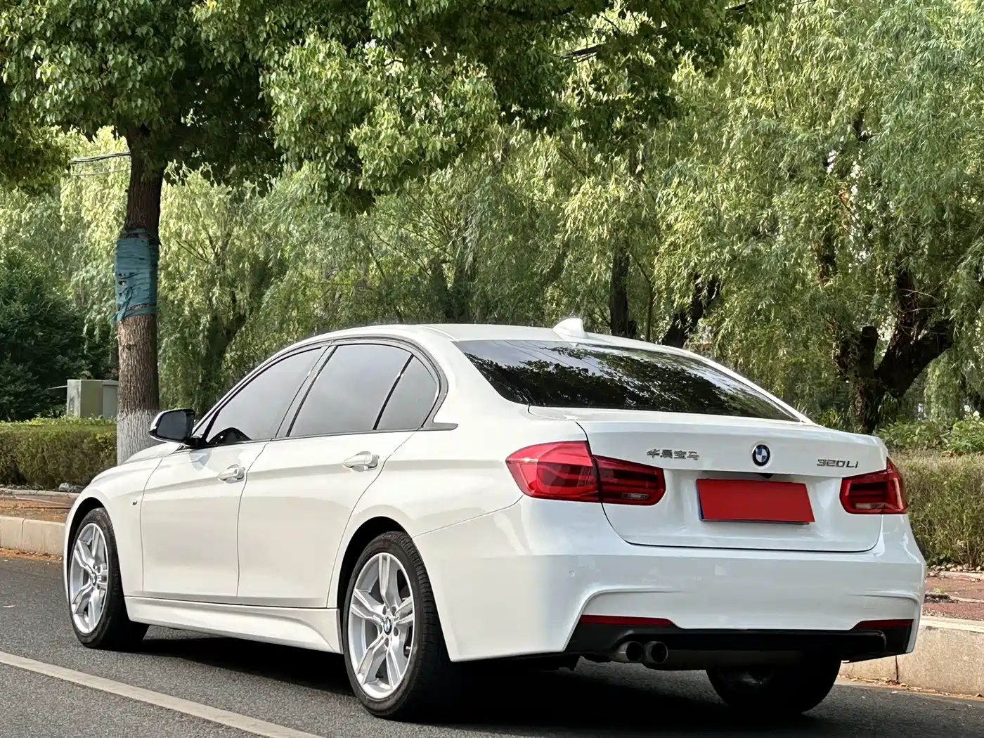 BMW 3 Series 2017 320Li M Sport фото 15