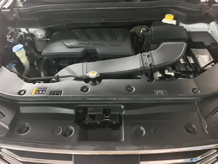 Haval H6 2019 Blue Label 1.5GDIT Automatic Champion Version фото 10