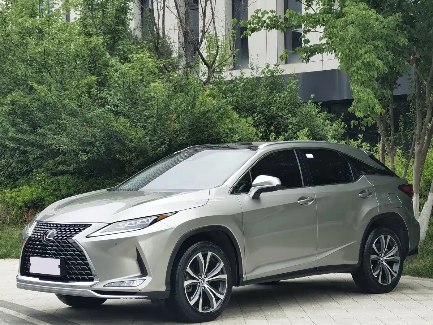 Lexus RX 2020 300 2WD Elite Edition China VI