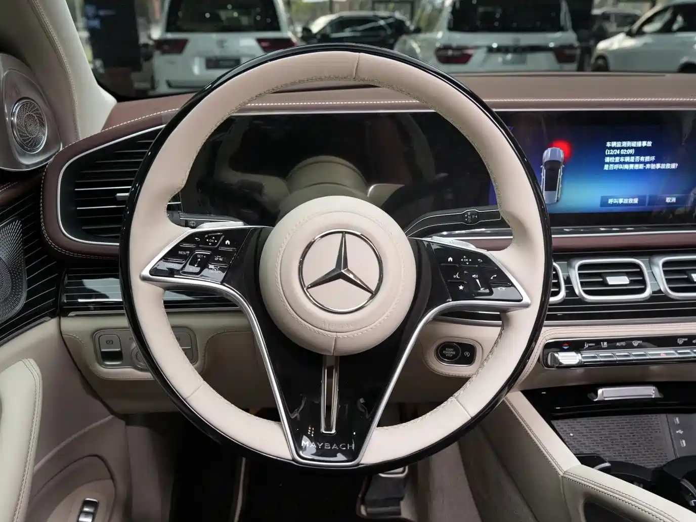 Mercedes-Benz Maybach GLS 2024 GLS 480 4MATIC фото 30