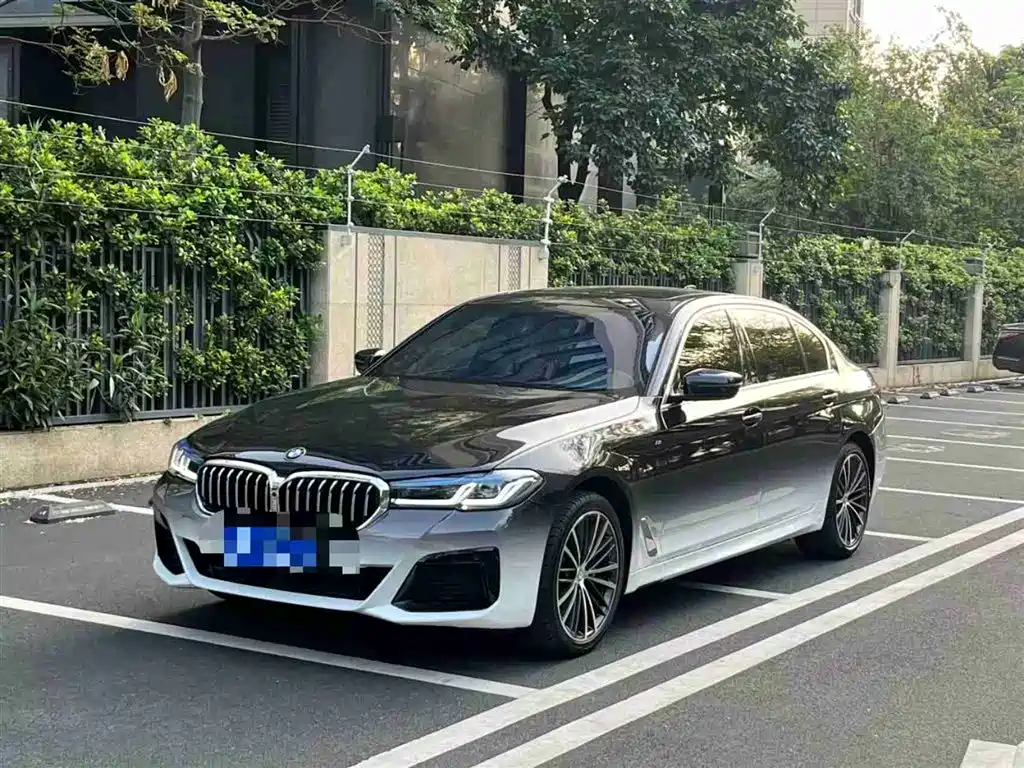 BMW 5 Series 2020 530Li Leading M Sport Package фото 2