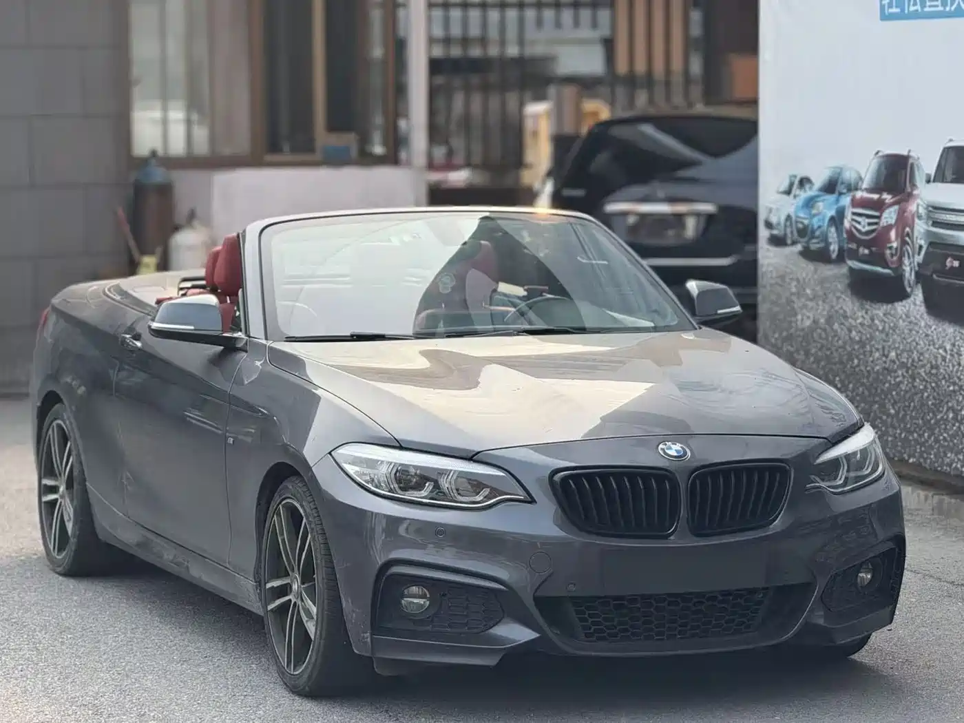 BMW 2 Series (Import) 2019 225i Convertible Coupe Exclusive M Sport Package фото 2