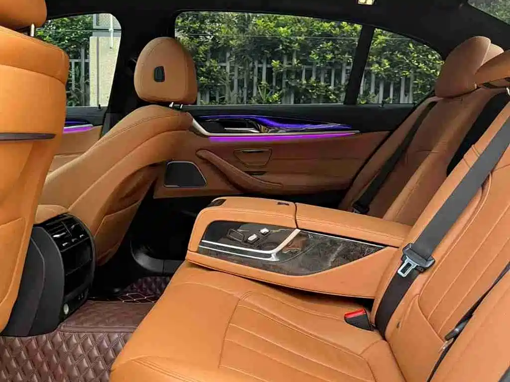 BMW 5 Series 2020 530Li Leading M Sport Package фото 10
