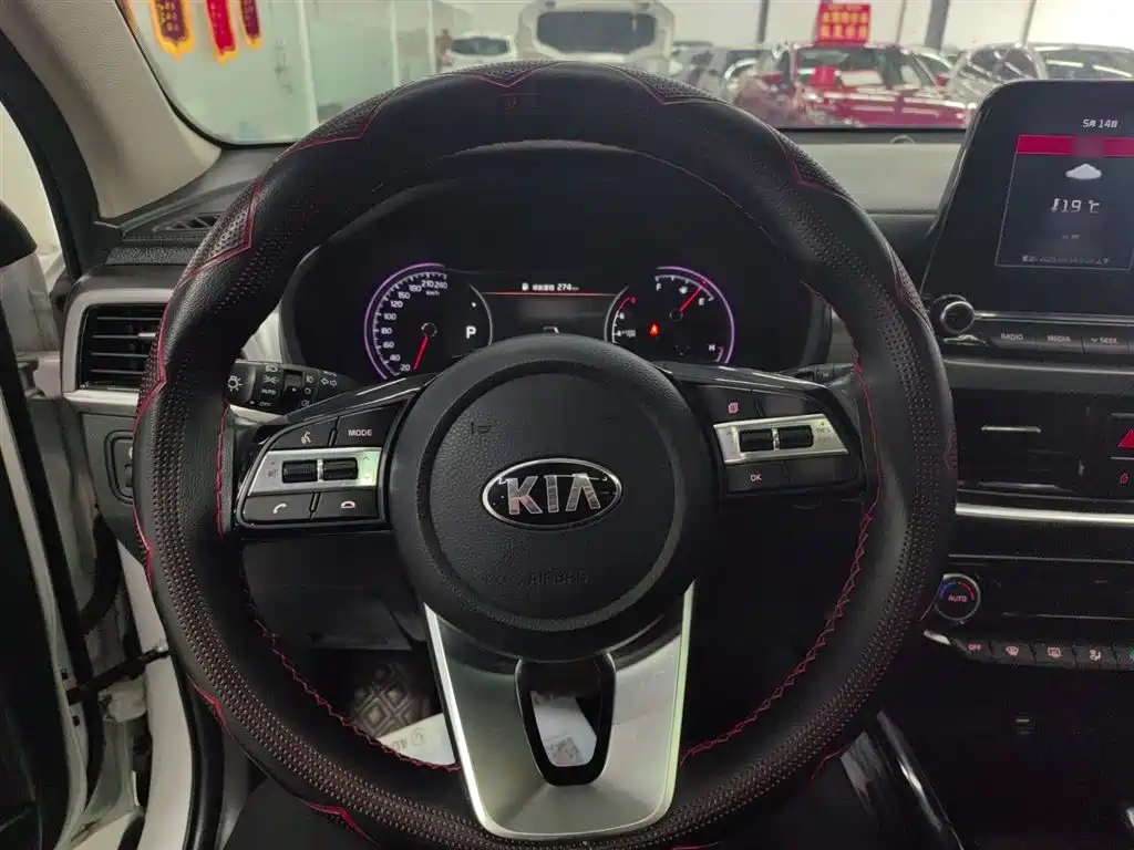 Kia Sportage 2019 2.0L Automatic Smart Luxury Edition фото 4