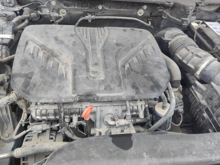 Haval Dargo 2021 2021 2.0T DCT 4WD Chinese Rural Dog Edition