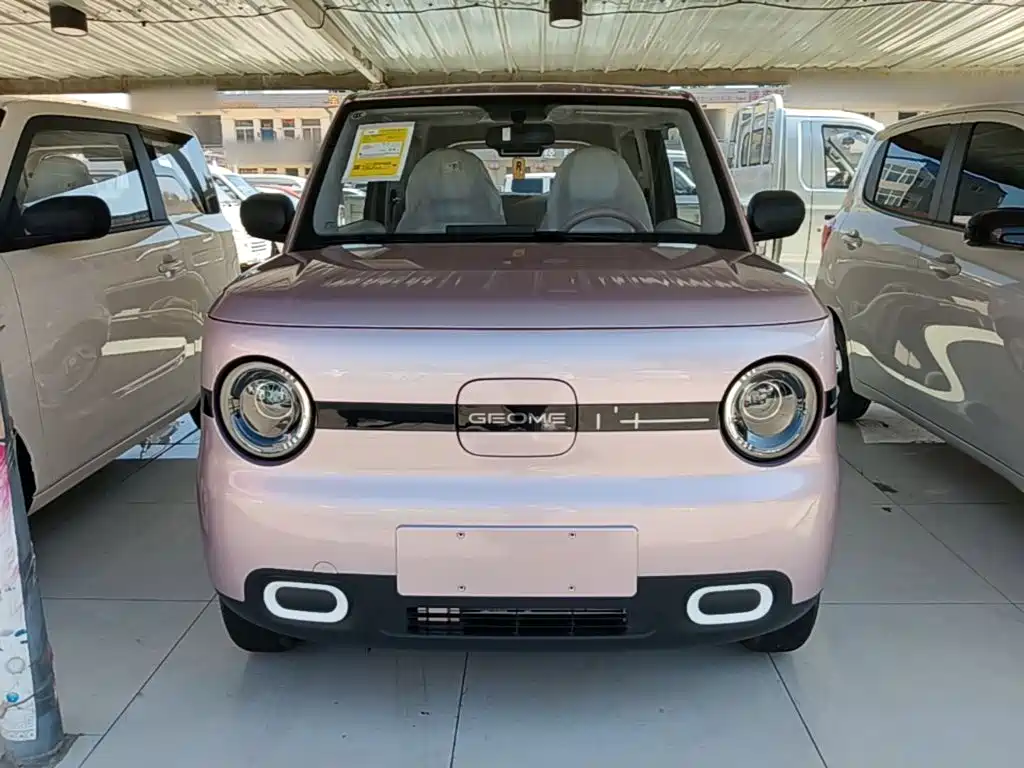 Geely Galaxy Panda 2026 2025 Panda mini 210km Vitality Bear