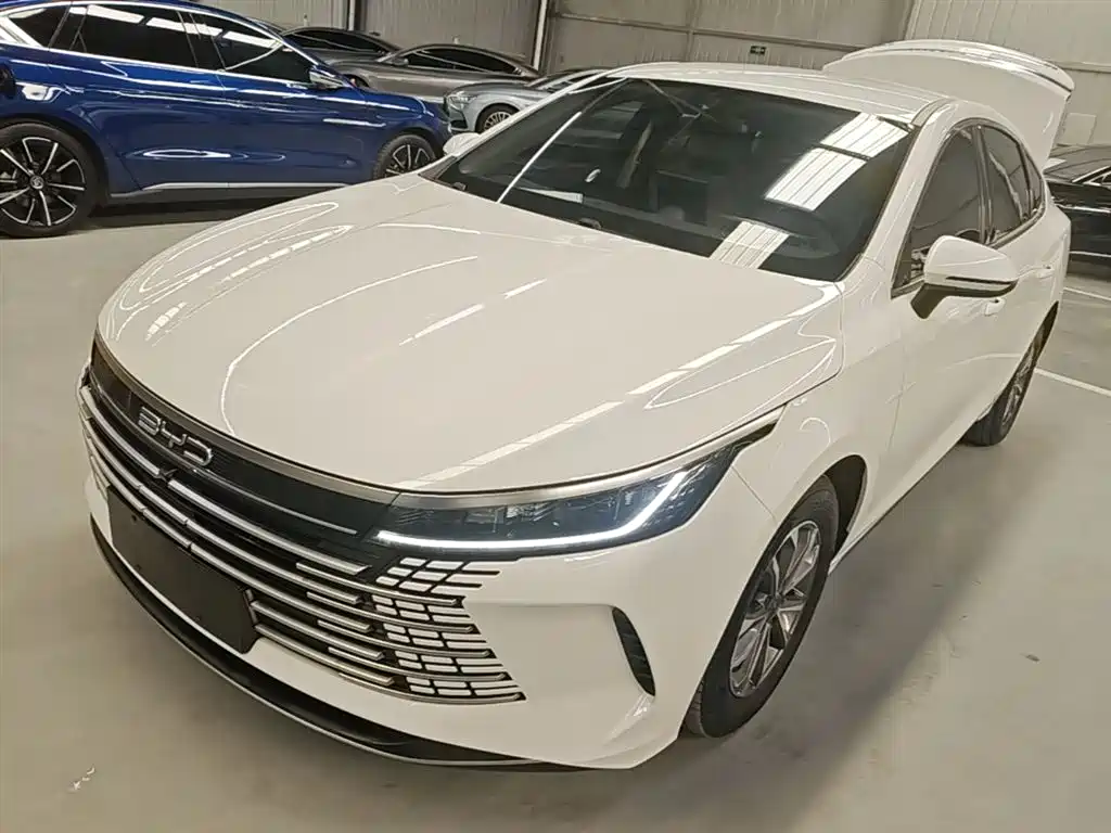 BYD Destroyer 05 2024 Glory Edition DM-i 55KM Luxury