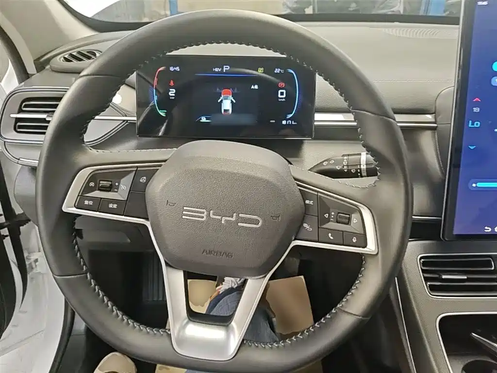 BYD Destroyer 05 2024 Glory Edition DM-i 55KM Luxury фото 11
