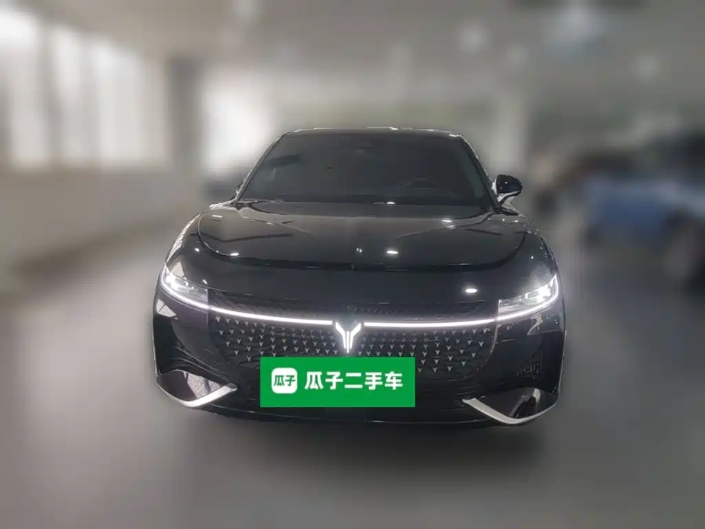 Voyah Auto VOYAH Zhuiguang 2024 2024 PHEV AWD Ultra-long Range Executive Edition
