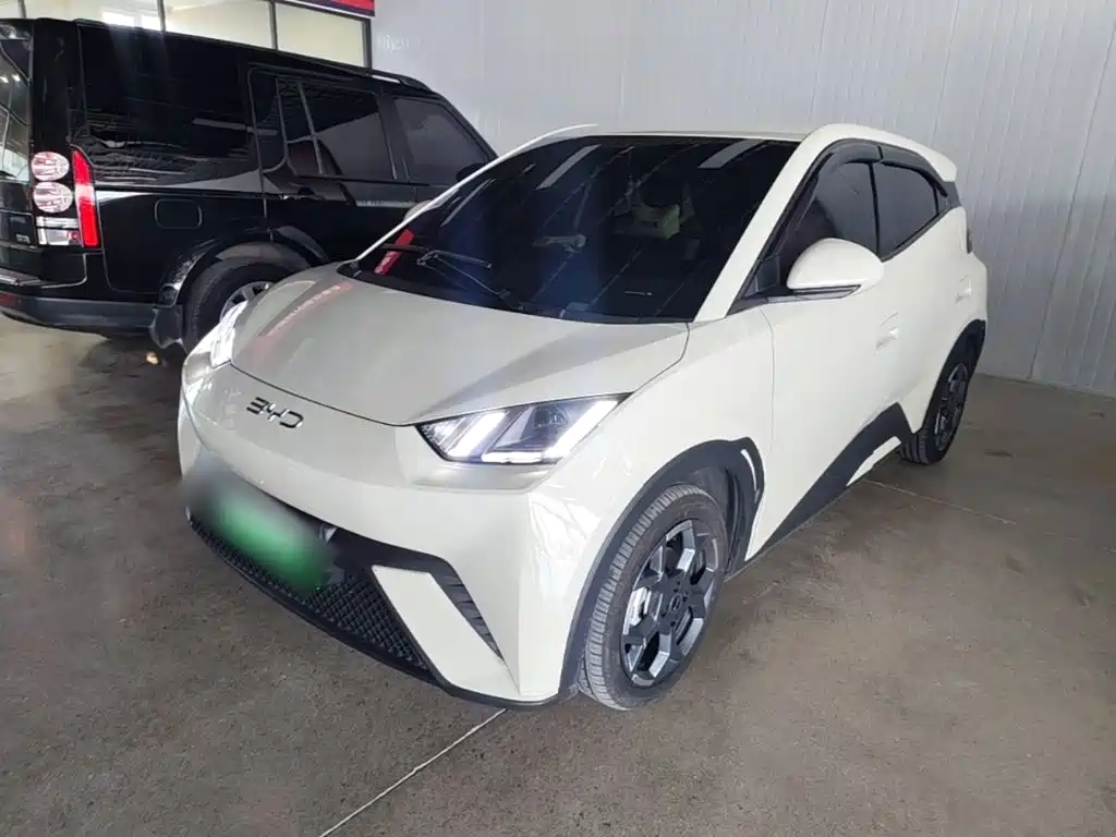 BYD Seagull 2025