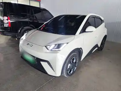 BYD Seagull