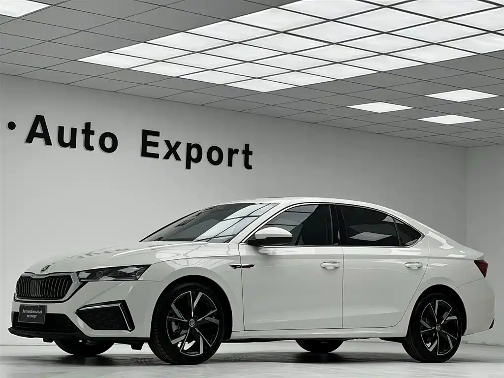 Škoda Octavia 2022 PRO TSI280 Luxury Edition фото 12