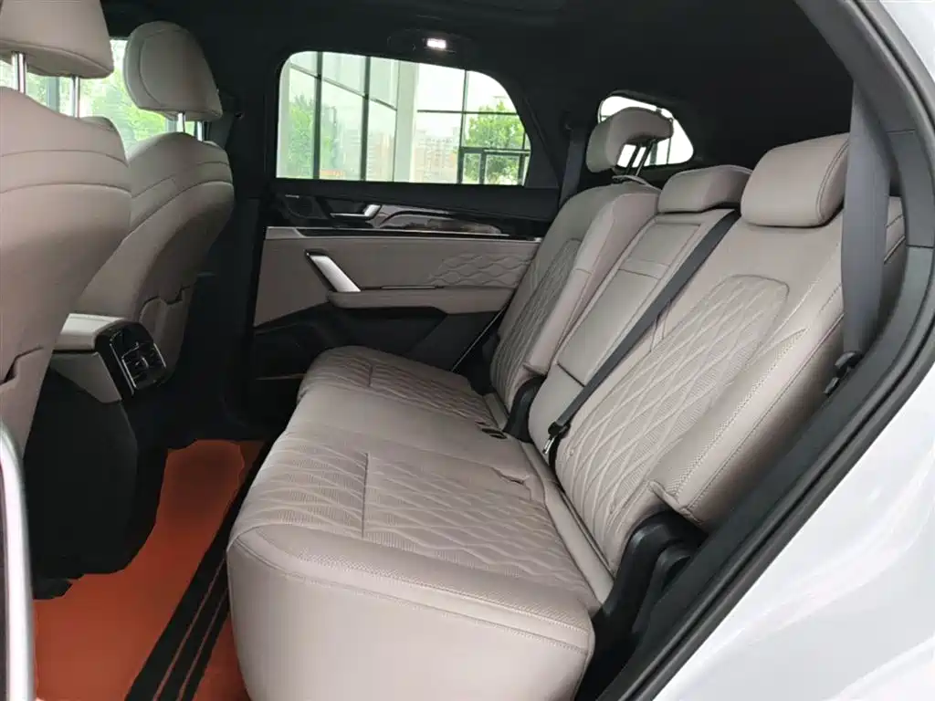 BYD Tang New Energy 2024 DM-i Honor Edition 112KM Premium фото 16