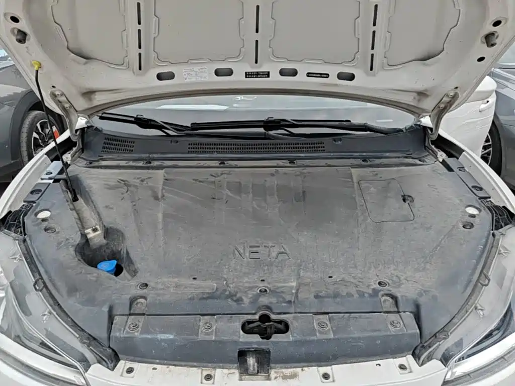 Nezha Auto Nezha V 2023 2022 Trend 300 Lite LFP